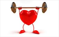 تحقیق ورزش و قلب و تأثیر آن بر دستگاه گردش خون