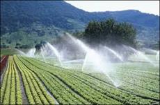 تحقیق بهینه سازی مصرف منابع آب در تولیدات کشاورزی