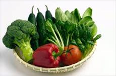 مقاله ای در مورد سبزیکاری